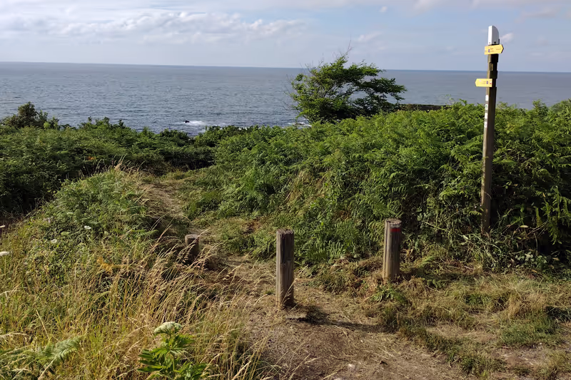 San Sebastian Private Tour - The wild coast hike