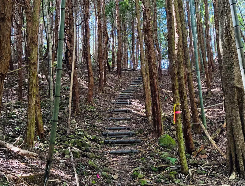 Oita Private Tour - Kyoshuho Trail