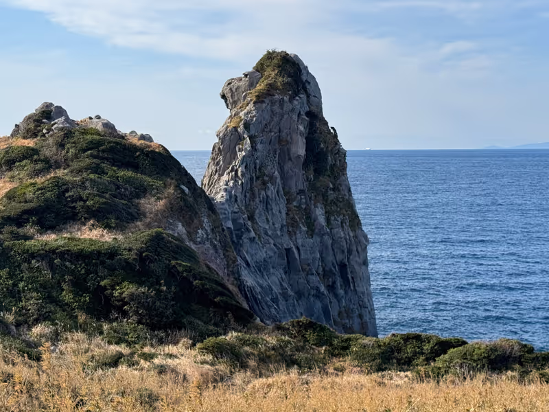 Fukuoka Private Tour - Saruiwa “Monkey Rock”