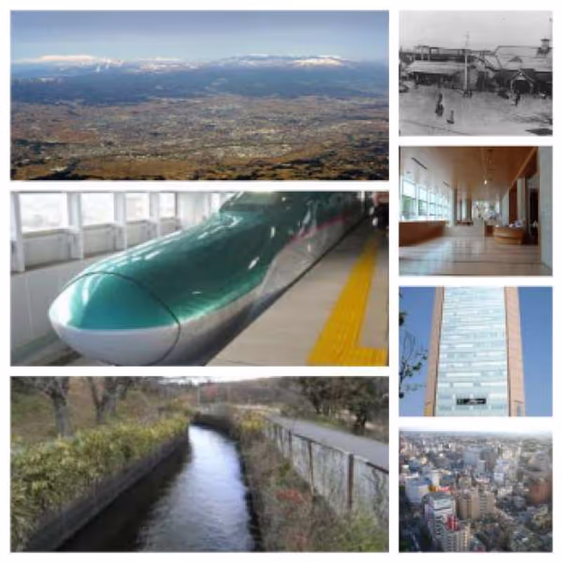 Fukushima Private Tour - 