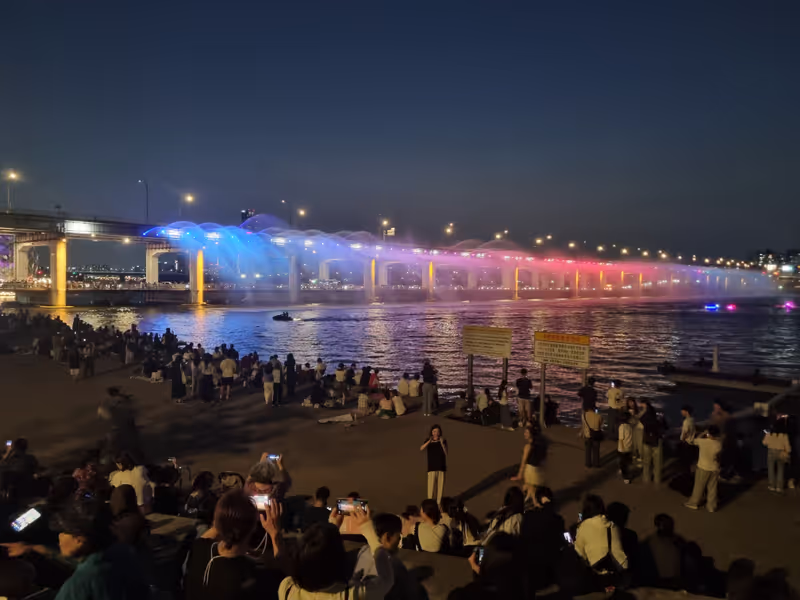 Seoul Private Tour - Rainbow Fountain Show