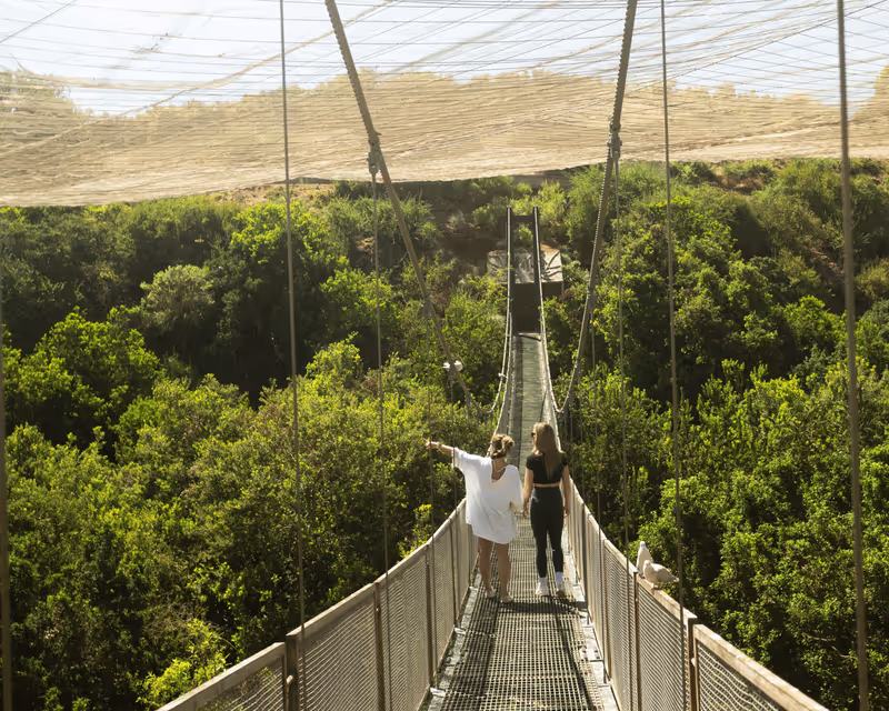 Santiago Private Tour - 