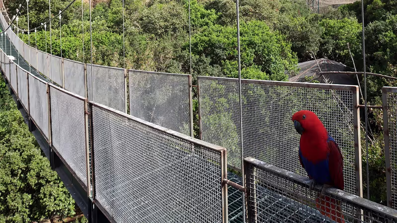 Santiago Private Tour - 