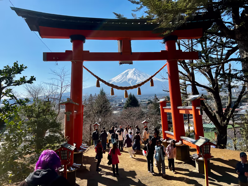 Tokyo Private Tour - Arakurayama Sengen Park