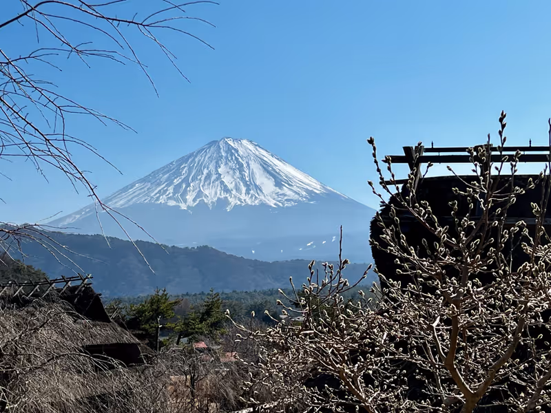 Tokyo Private Tour - Saiko Iyashi no Sato Nenba