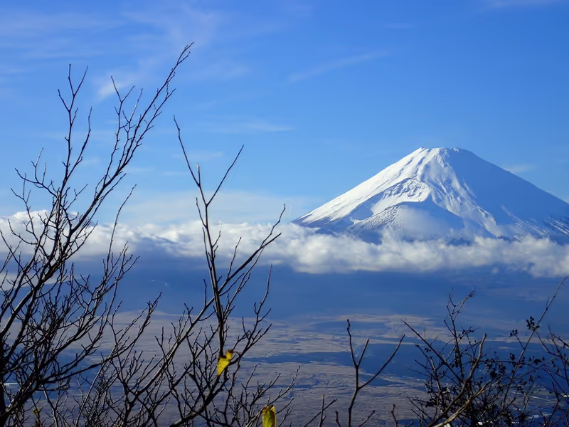 Yokohama Private Tour - Mt. Fuji