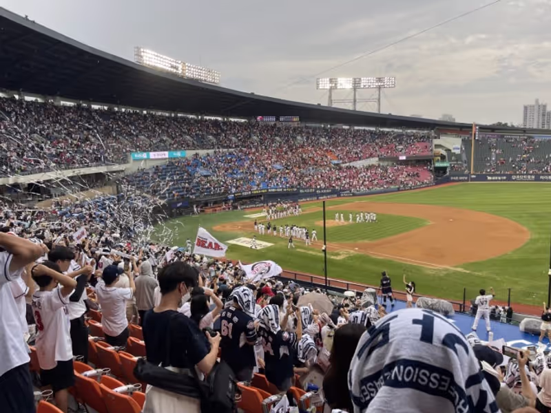 Seoul Private Tour - Baseball Cheering