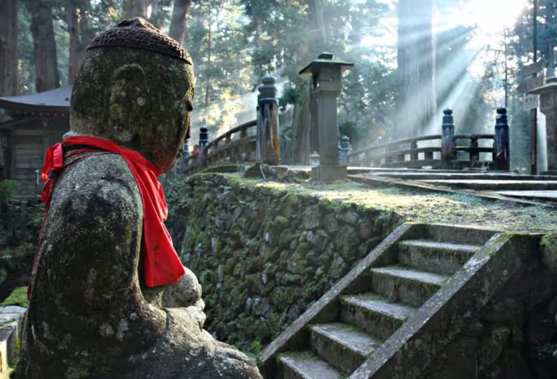 Osaka Private Tour - The Cedar Forest is an Unforgettable experience