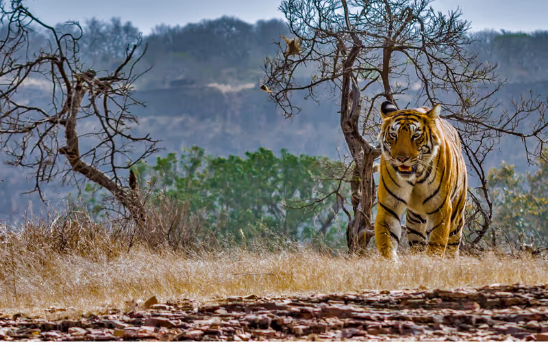 Delhi Private Tour - 