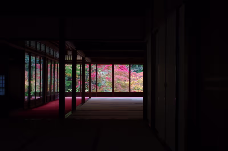 Kyoto Private Tour - #quietness #wabisabi #