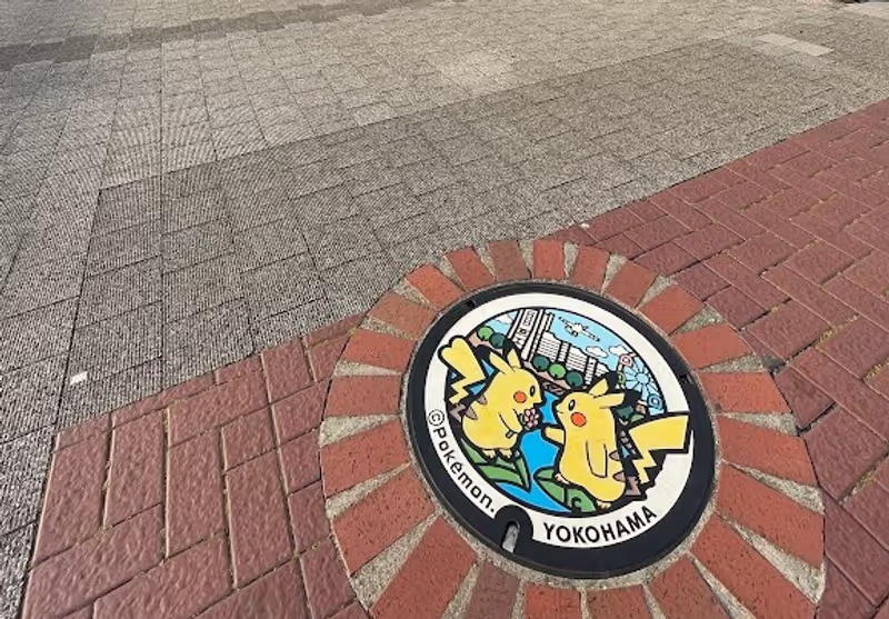 Yokohama Private Tour - Poke lid
