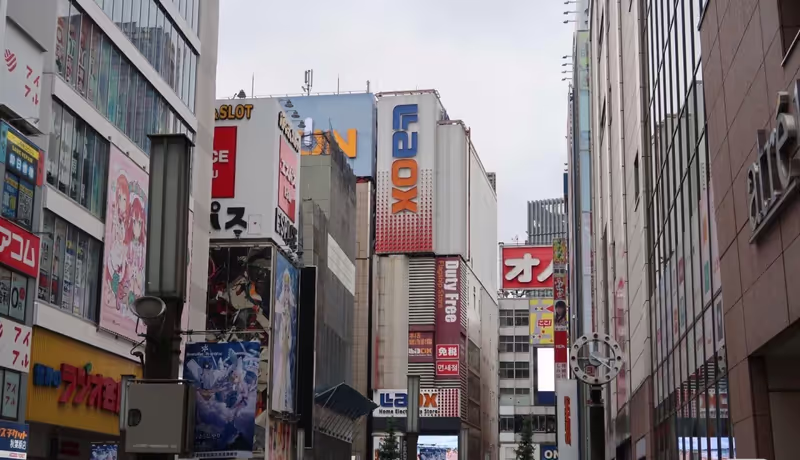 Narita Private Tour - 