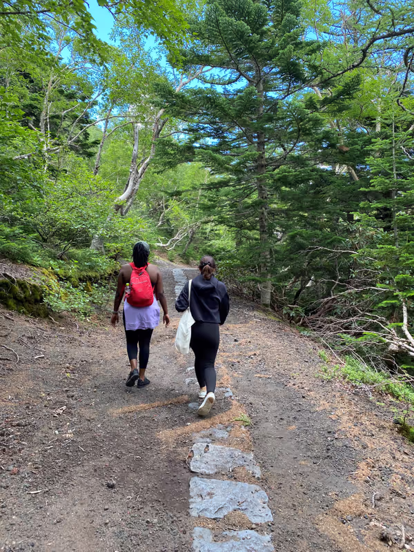 Mount Fuji Private Tour - Ochudo Trail with its unique forest landscapes