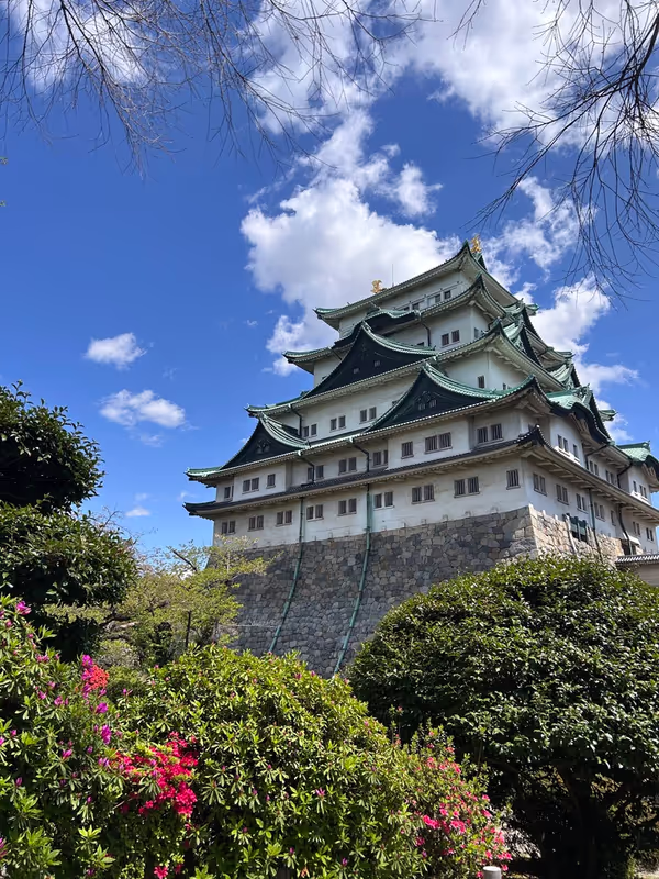 Nagoya Private Tour - Nagoya Castle