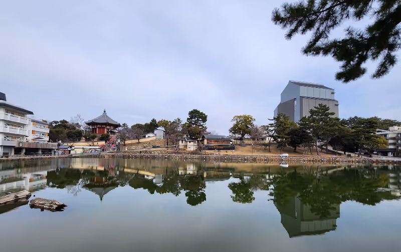 Osaka Private Tour - Sarusawaike and Kofuku-ji