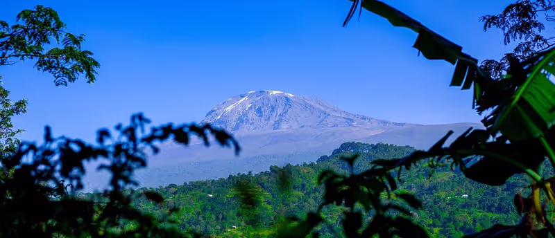 Kilimanjaro Private Tour - Kilimanjaro
