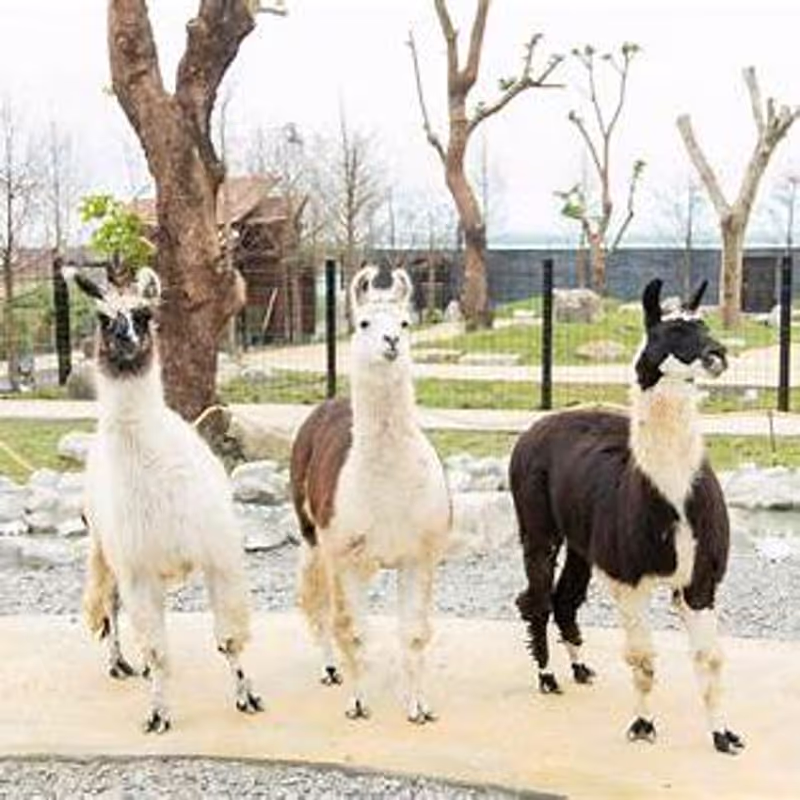 Yilan Private Tour - 