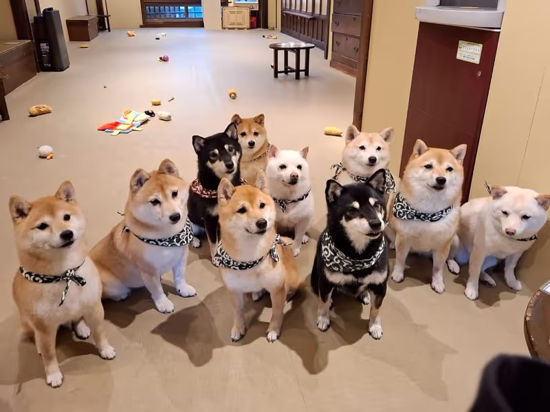 Osaka Private Tour - 