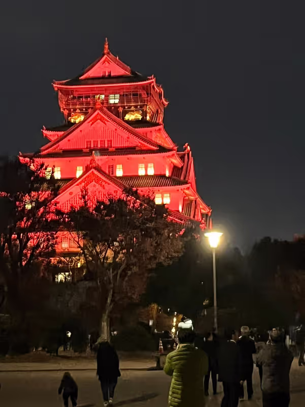 Osaka Private Tour - 