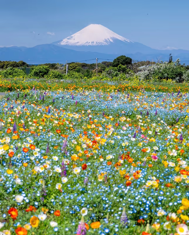 Narita Private Tour - 