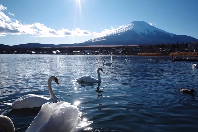 Narita Private Tour - 