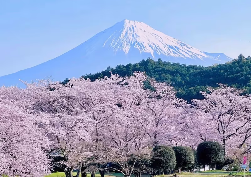 Narita Private Tour - 