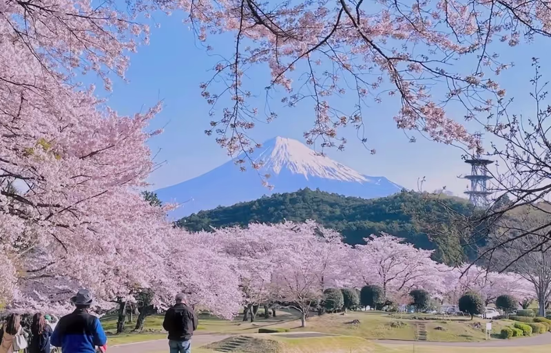 Narita Private Tour - 