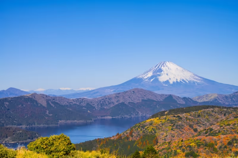 Hakone Private Tour - Lake Ashi and mountains view from the observatory