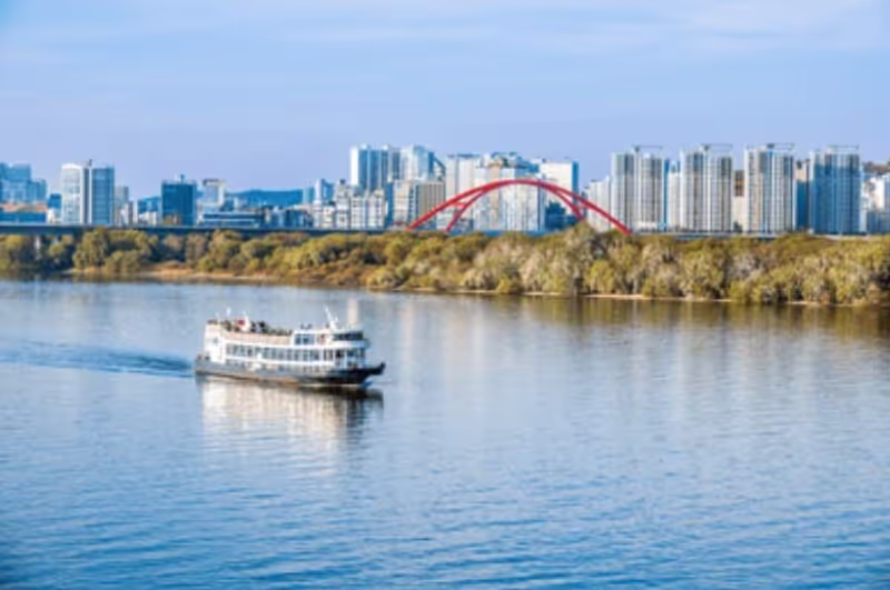 Seoul Private Tour - Cruise