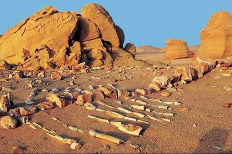 Cairo Private Tour - 