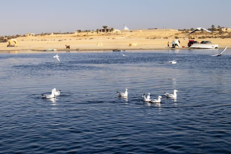 Cairo Private Tour - 