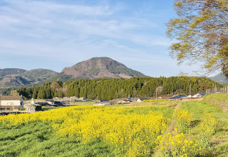 Oita Private Tour - Kusu Town