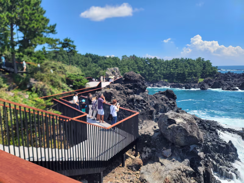Jeju Private Tour - columnar jointing cliffs