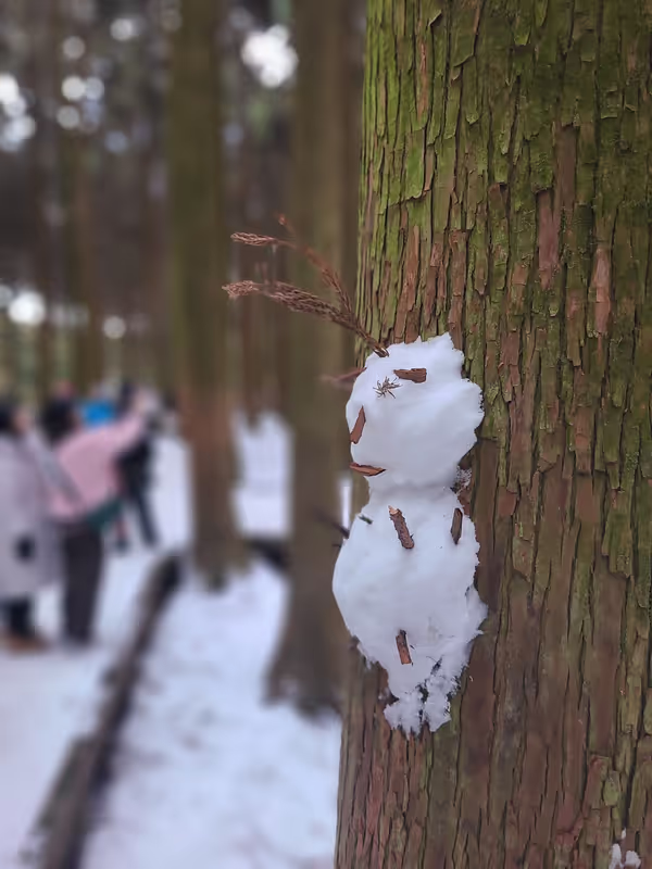 Jeju Private Tour - Hallasan in full winter bloom