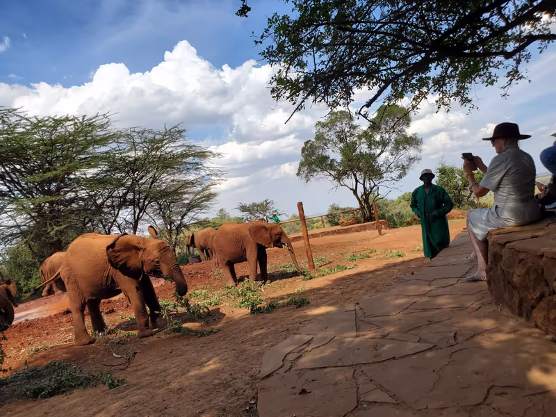 Nairobi Private Tour - 