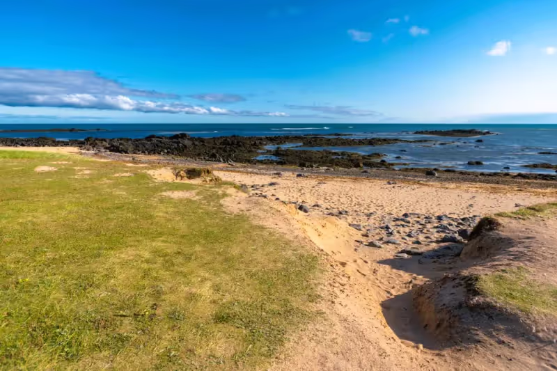 Reykjavik Private Tour - 