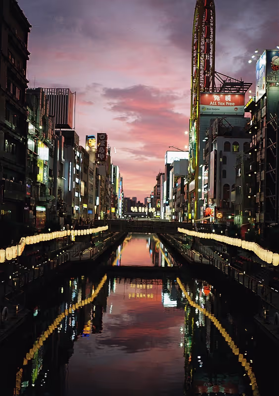 Osaka Private Tour - Dotonbori area