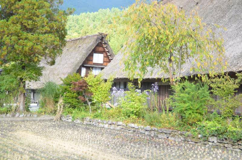 Takayama Private Tour - Thatched roof houses in Shirakawa-go