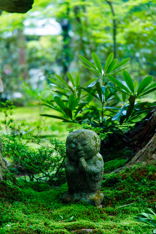 Kyoto Private Tour - 