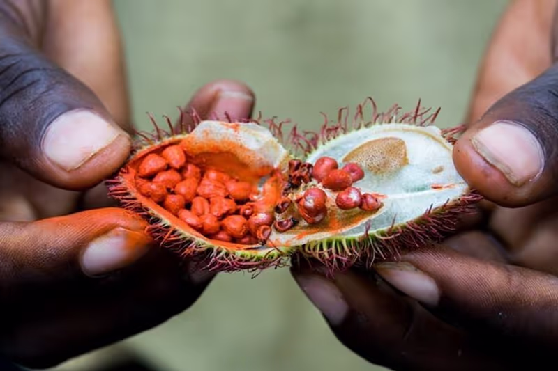 Zanzibar Private Tour - 