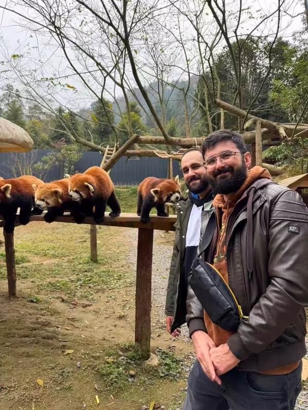 Chengdu Private Tour - Interact with the red panda