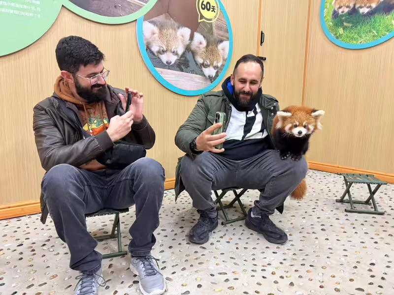 Chengdu Private Tour - Interact with the red panda