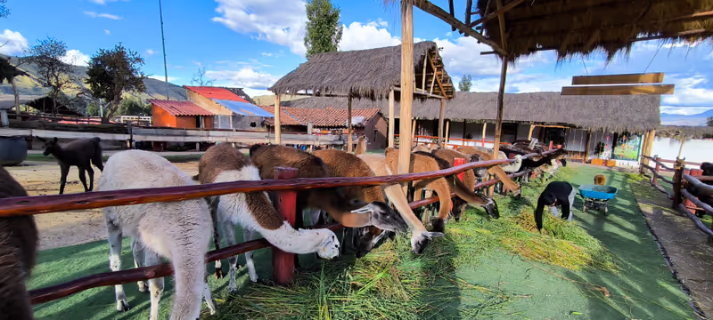 Cusco Private Tour - 