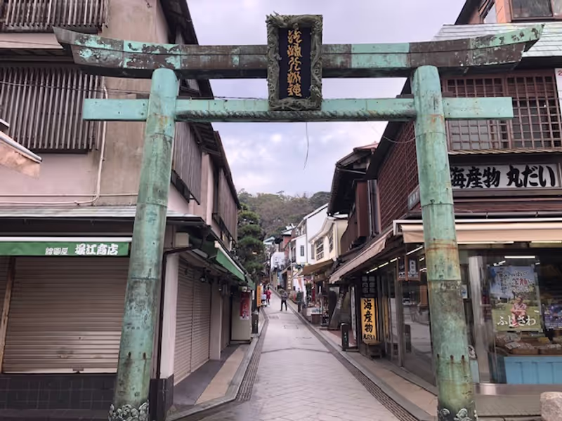 Tokyo Private Tour - Torii gate to Enoshhima Shrine