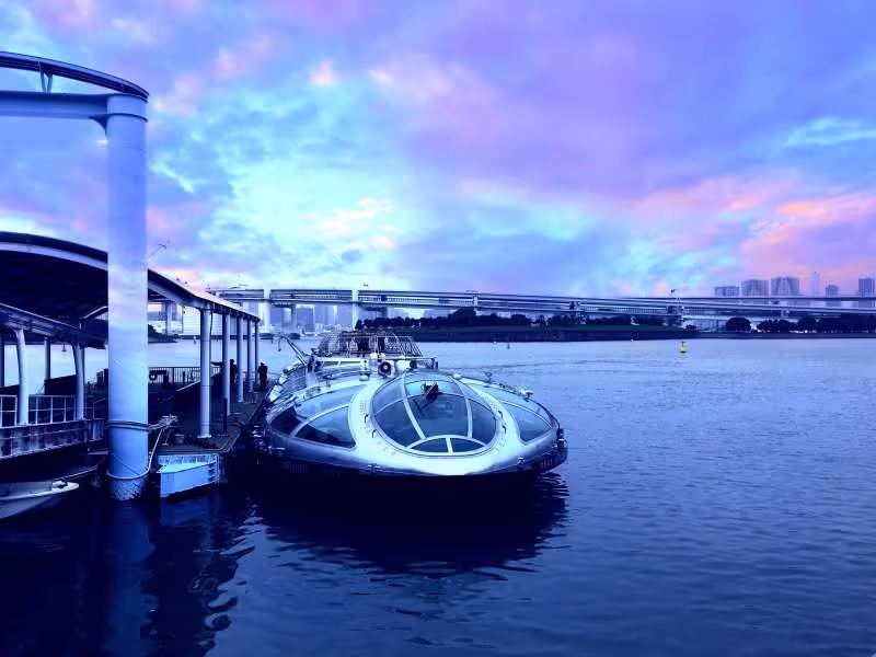 Tokyo Private Tour - Tokyo river cruise
