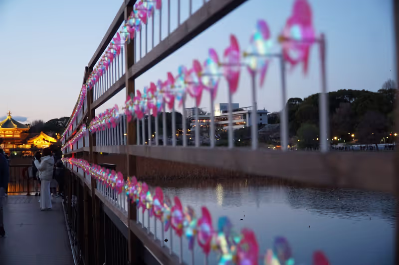 Tokyo Private Tour - UENO