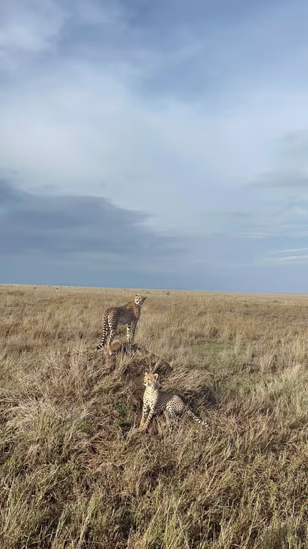 Arusha Private Tour - 