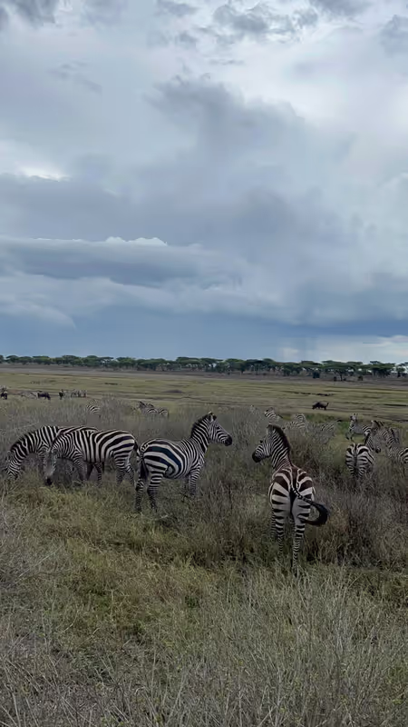 Arusha Private Tour - 