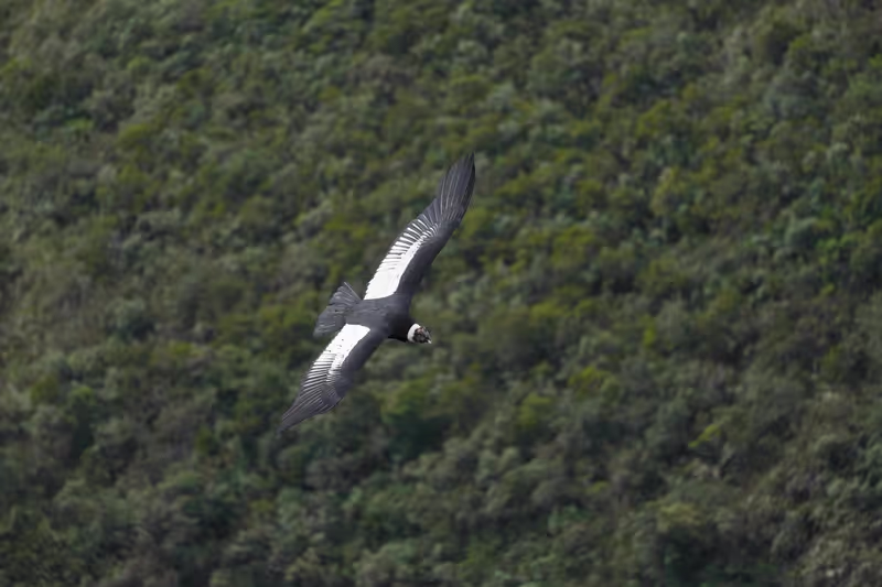 Quito Private Tour - 