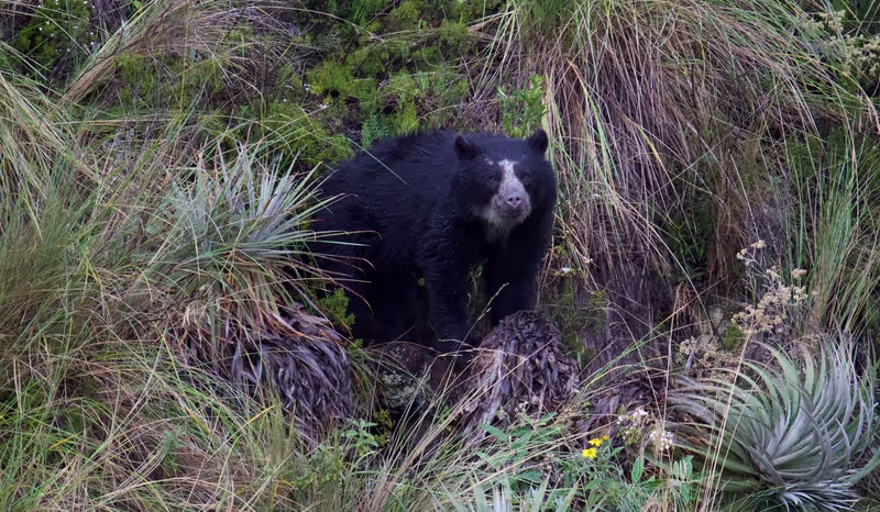 Quito Private Tour - 